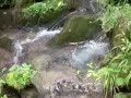 Jankovac - potok