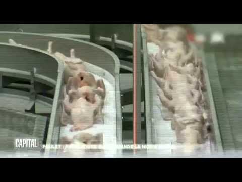 Image de prévisualisation YouTube