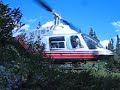 Bell 206 Jet Ranger taking off Bell 206 Jet Ranger taking off