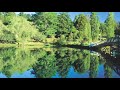 Yarra Valley Dandenongs And The Ranges, Victoria - Thumb #1