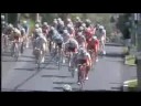 Univest 08