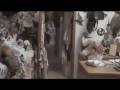 TAXIDERMIA TRAILER