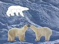 Super Polar - Petit Ours 9