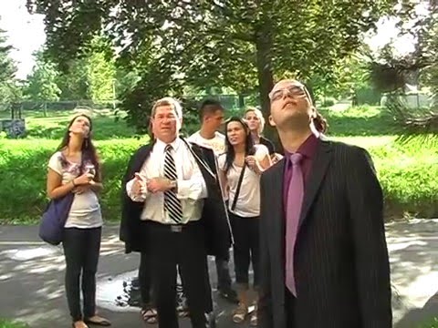 Videó megtekintése Videó megtekintése