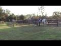 videos de Total Video tire drag