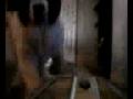 Puppy Vacuum Chase
