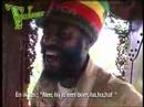 www.toppatours.nl FairTrade reizen naar Jamaica - Yotto