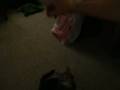 videos de Kiss Me! It's Phat Liney!!