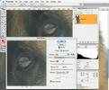 Immagine anteprima YouTube