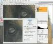 Photoshop: Maschera di Contrasto