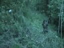 Part Four -June 21st 2008 Airsoft Battle