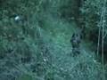 Part Four -June 21st 2008 Airsoft Battle