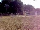 video de mickou