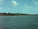 videos Surf