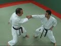 KARATE JION Kata Bunkaï Défense par Didier Lupo KARATE JION Kata Bunkaï Défense par Didier Lupo