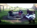 Zap Web Fail - #1 - Epic Fail compilation {HD}