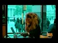 Nextel | \"Leones\" - Banda: Twins Music Argentina. Nextel | \"Leones\" - Banda: Twins Music Argentina.