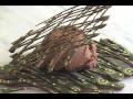 Make a Chocolate Scribble Decoration for a cupcake or dessert garnish