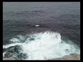 Bondi to Coogee