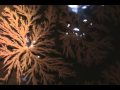 重クロム酸カリウムの結晶成長.wmv