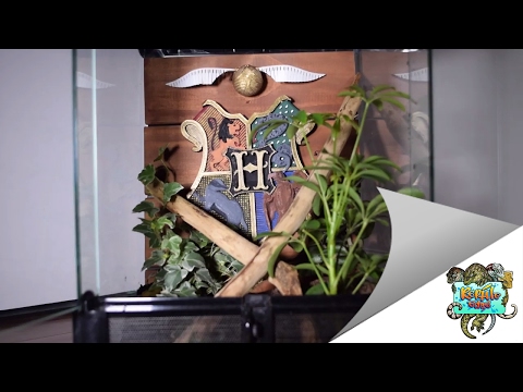 YouTube reptile video