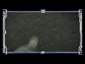 Thumbnail #1