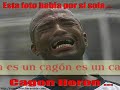 homenaje universitario