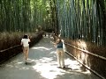 Parque Arashiyama Parque Arashiyama