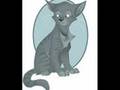 Hollypaw,Jaypaw,and Lionpaw~The Getaway~