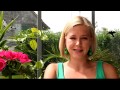Katalogsprache: Wie ist sie zu verstehen? - Teil 2