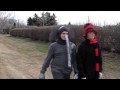 Horton Hatches the Egg (Short Film)