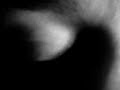 La Pelicia Lunar