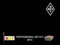 Professional Art 13 - 5013