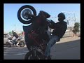 ruff ryders