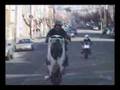ruff ryders