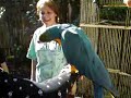 Jaz holding a Parrot
