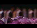 videos de ZZT - Lower State of Consciousness (Original Munich Version)