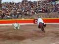 Marinera en Pullo