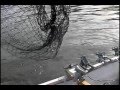 Muskie Bolero