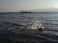 rebus-recitato-di-ti-saluto-piedi-i-fica-all-unical.html