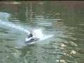 Prove Abc Hobby Kawasaki Jet Ski RC (Mamba 7700)