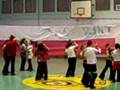 The TVD Muppet show dance
