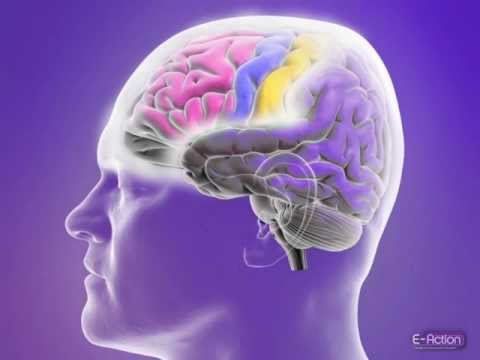 How Partial Seizures are Affected by Their Location in the Brain