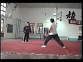 Nanquan Training with He Qiang