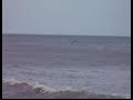 Pelicans and Egrets Pelicans and Egrets