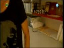 Doe Maar Netwerk Deel 1