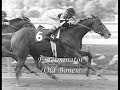 racehorse tribute racehorse tribute