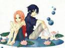 sasuke and sakura forever