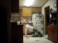 SDC10007.AVI