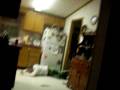 videos de SDC10007.AVI